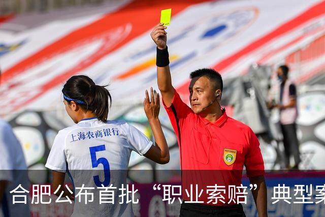 合肥公布首批“职业索赔”典型案例