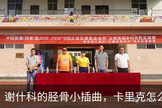 谢什科的胫骨小插曲，卡里克怎么说？